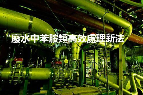 “廢水中苯胺類高效處理新法，環(huán)保先鋒引領(lǐng)綠色以后”